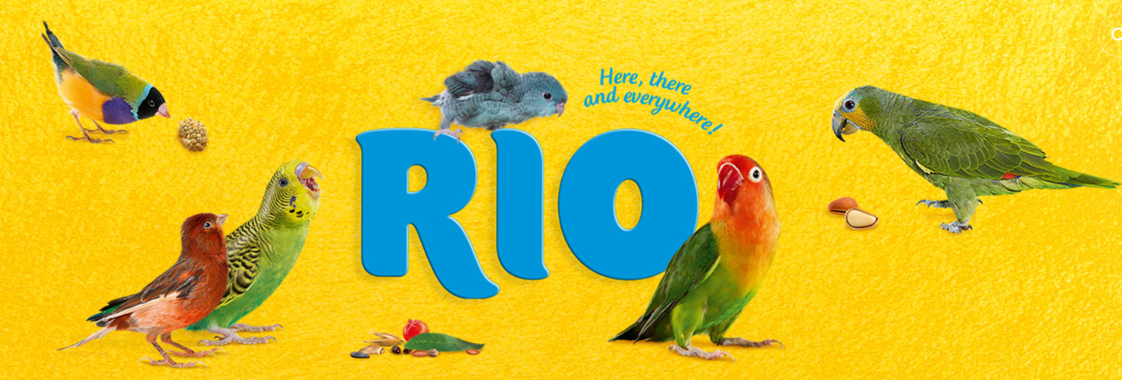Rio
