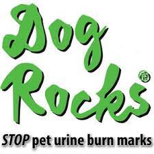 Dog Rocks
